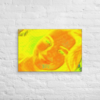 canvas-in-20x30-front-6966d571ae05b.png