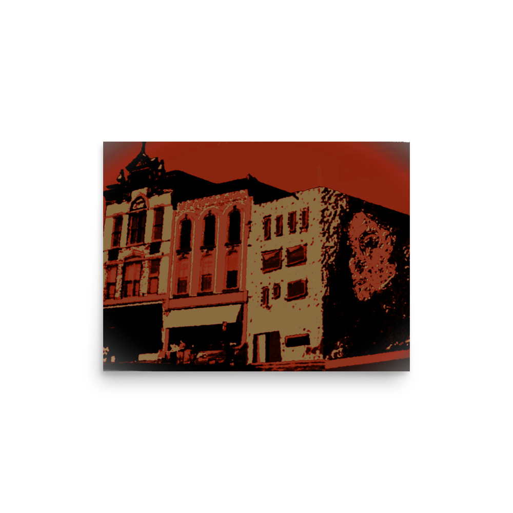 enhanced-matte-paper-poster-in-12x16-front-6a0e73256870a.jpg