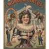 indoor-wall-tapestry-26x36-front-6a303aab17f20.png circus poster wall tapestry