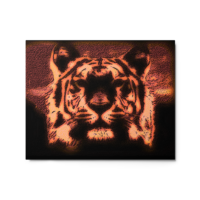 Tigers Face metal prints